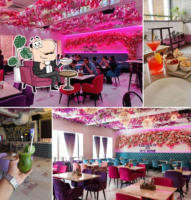 Check out how PURPLE PENGUIN looks inside