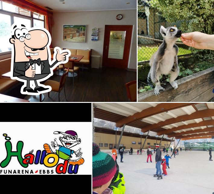 Erlebnis- und Freizeitpark Hallo du