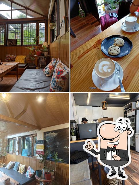 The interior of The Organic Bowl Best Cafe In Manali Coffee Place