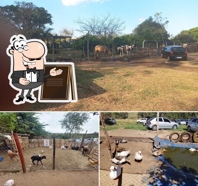 Você pode espairecer no na área externa do RECANTO PARAISO RESTAURANTE RURAL