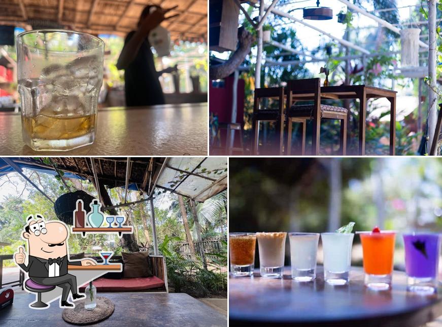Check out how Saltamontes - Garden Cafe & Bar looks inside