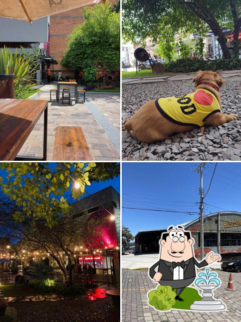 Desfrute da vista do exterior Dude Coffee