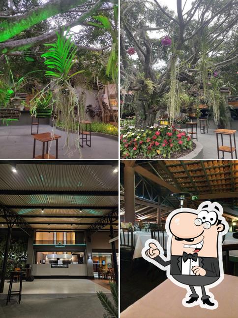 Veja imagens do interior do Restaurante Rancho do Boi