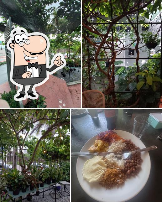 Veja imagens do interior do Massa Grossa Restaurante Temático