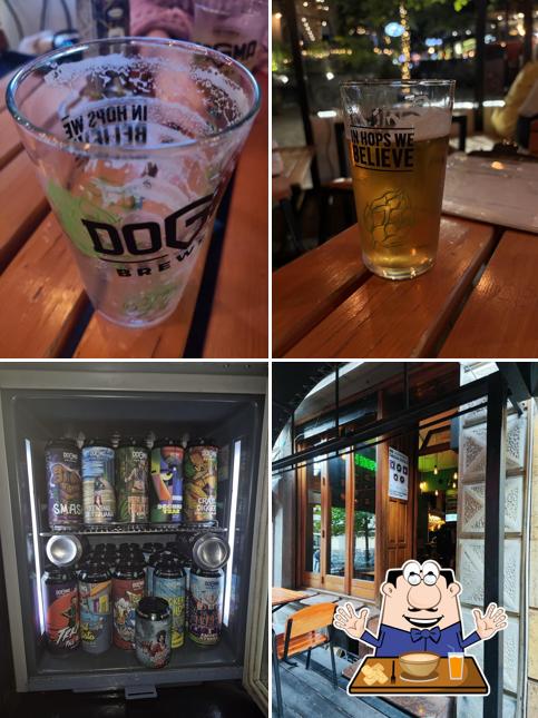 DOGMA Craft Beer Station