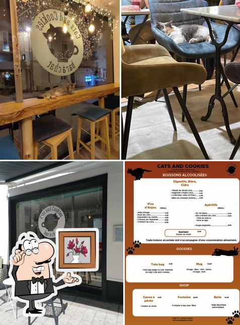 Installez-vous à l'une des tables de Bar à chat Cats And Cookies