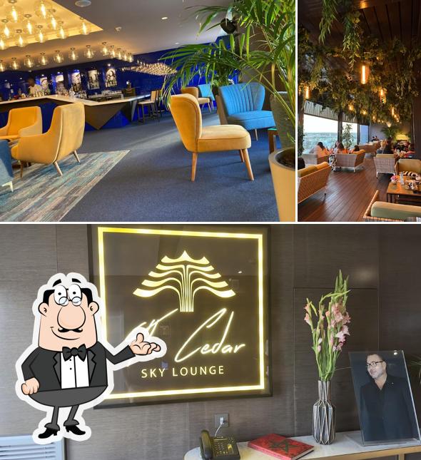 Découvrez l'intérieur de Cedar Lounge