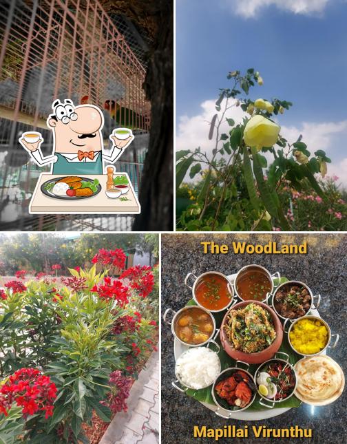 Meals at Hotel Bhairava's. (The WoodLand Restaraunt)