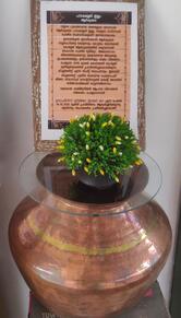 Brahmins STEAMIYO Idli kada