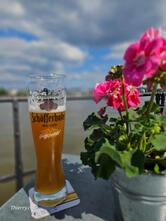 Biergarten "Zum Rheinblick"
