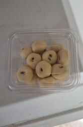 New Bharat Sweets