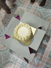 Fresh Bakes Bakery