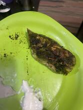 Zaatar Restaurant Calicut