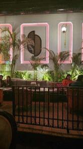 Kakuna “ a culinary bar “ Best Night Club in Chandigarh