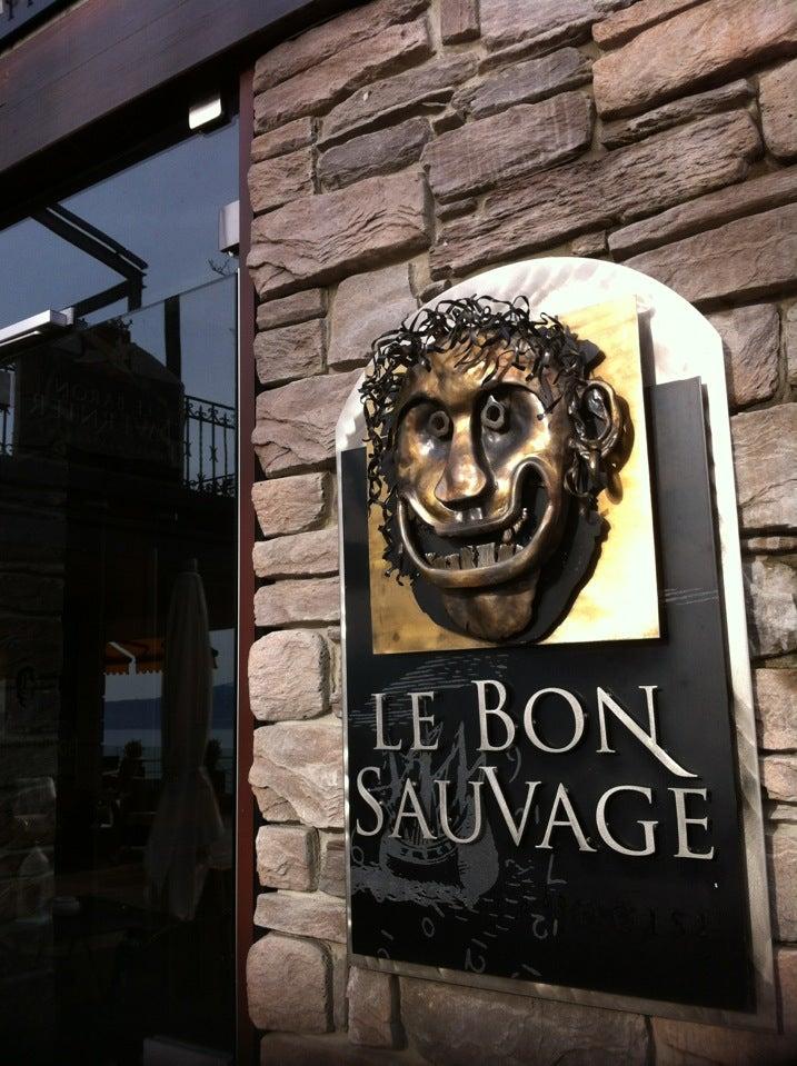 Le Bon Sauvage