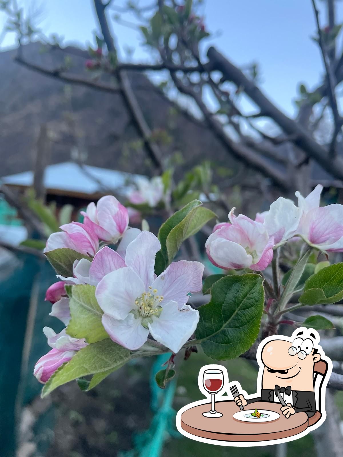 Photo from Google