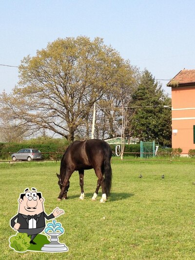 Gli esterni di CLUB HOUSE